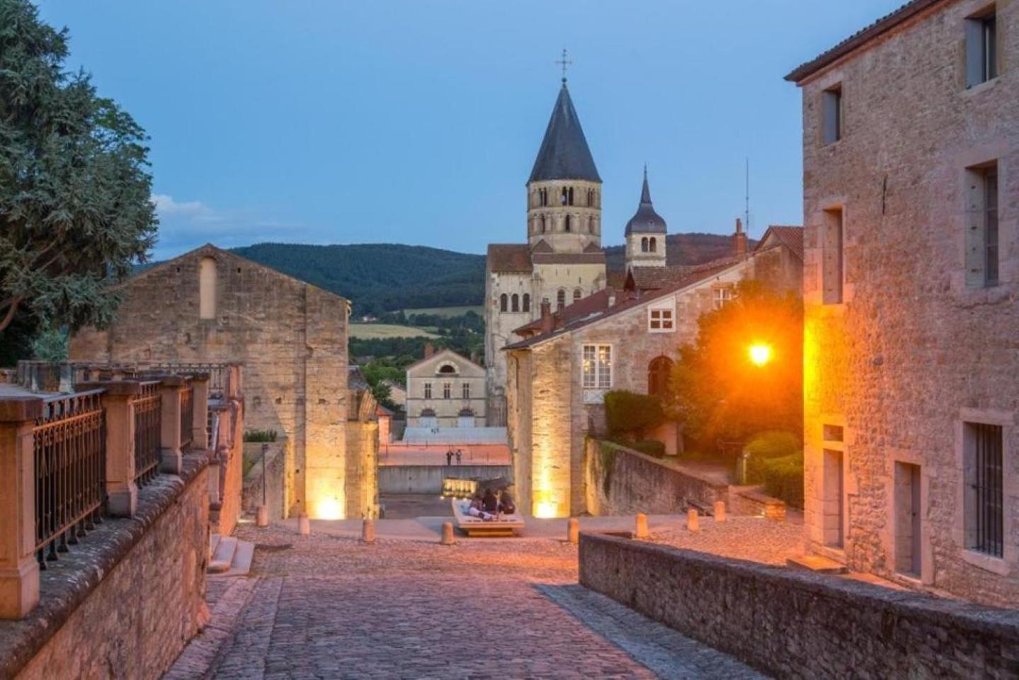 Le Lagon Bleu - Centre Ville - Maison Boucicaut - By Primo C0Nciergerie Chalon-sur-Saône Εξωτερικό φωτογραφία